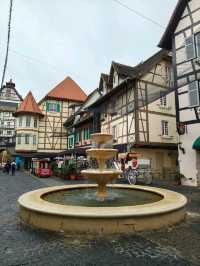 Blooming Views & Fairytale Streets at Colmar Tropicale!