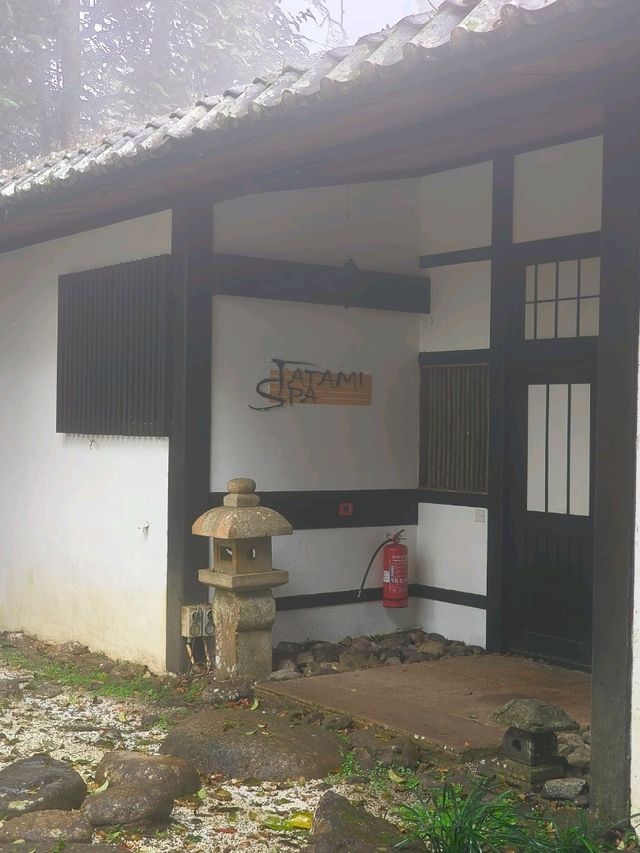 Misty Moments in a Hidden Japanese Village Above the Clouds