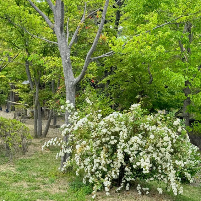 石神井公園 | 寧靜中的綠意