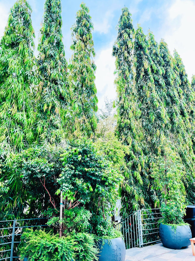 “TRX Park: Where Sustainability Meets Serenity”