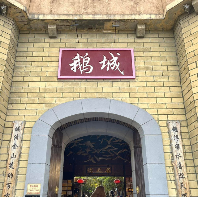 鵝城真的有鵝🪿 吃飯的這個地方太有特色了💕