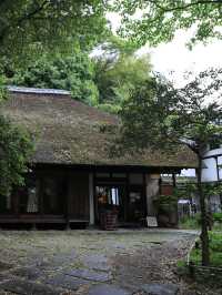 【東京🇯🇵】あいにくの天気でも楽しめる町田散歩Day