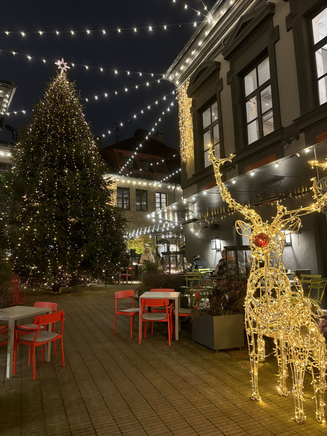 Celebrate Christmas in Vilnius Next Year