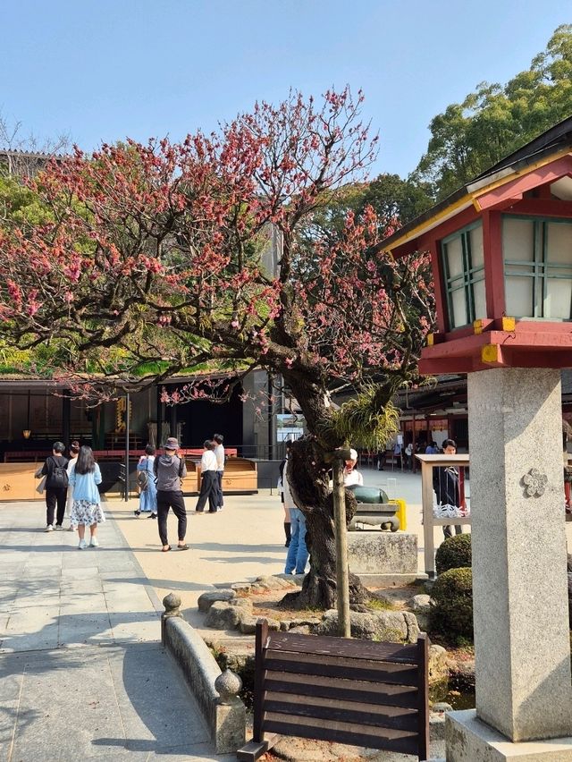 유후인 버스투어 여행코스💕