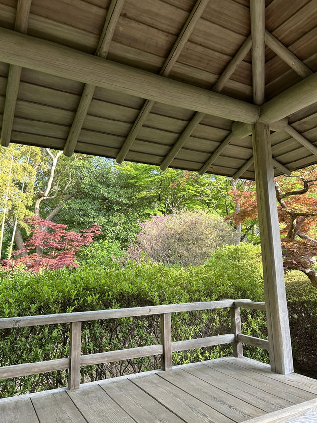 【松戸】旧徳川家の邸宅を見学しよう