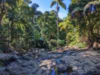 A Serene Escape: My Weekend Trip to Brisbane's Countryside