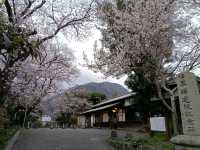 九大本線橫斷 由布院/大分/別府