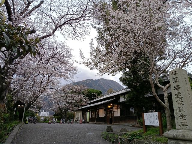 九大本線橫斷 由布院/大分/別府