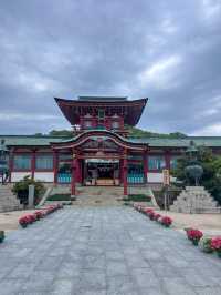【花に囲まれて学問祈願】防府天満宮　山口