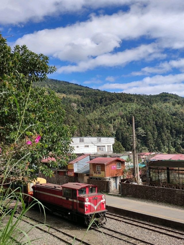 #奮起湖車站-嘉義縣竹崎鄉