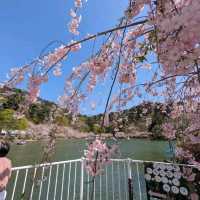 Suzaka Garyu Park, Nagano
