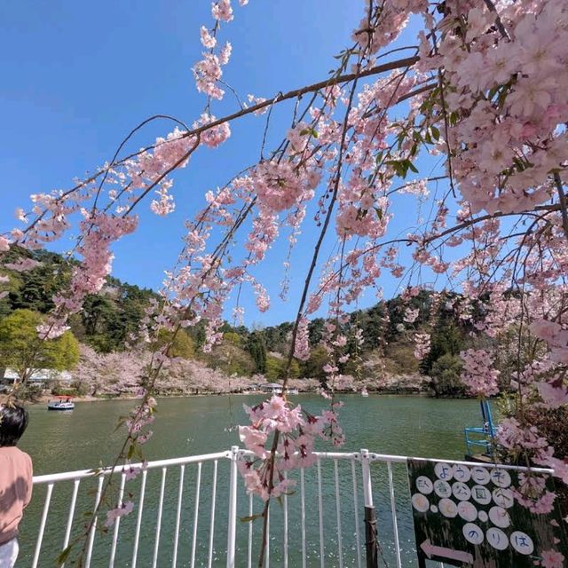 Suzaka Garyu Park, Nagano