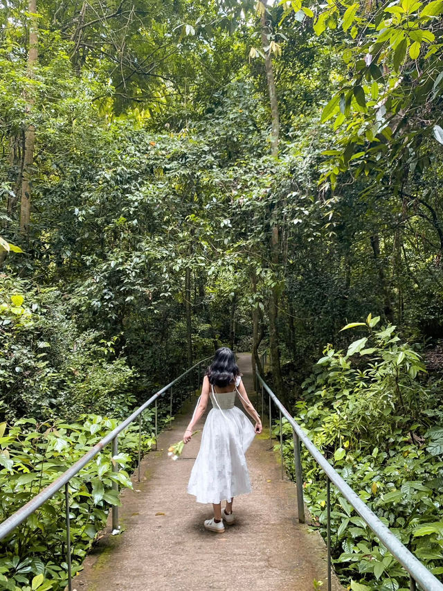 Phong Nha- Ke Bang