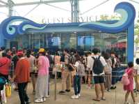 #新加坡S.E.A Aquarium-新加坡聖淘沙島