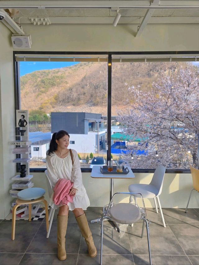 벚꽃액자샷을 찍을수 있는 밀양 감성카페🌸