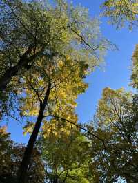 Wenden in Autumn: Where German Countryside Turns into a Golden Canvas