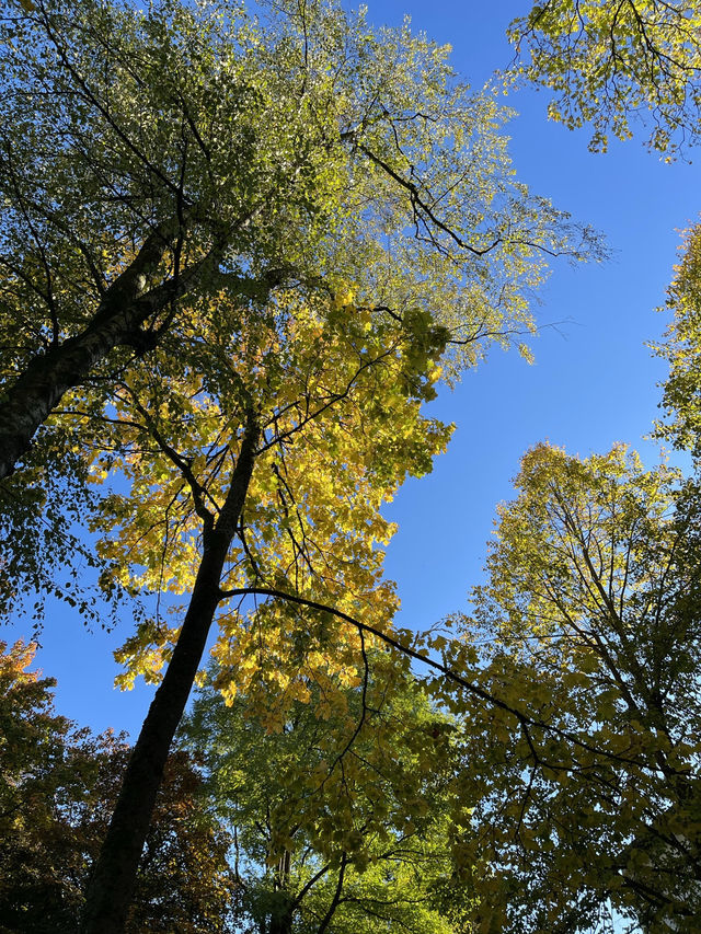 Wenden in Autumn: Where German Countryside Turns into a Golden Canvas