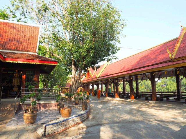 วัดโพธิ์ บางคล้า