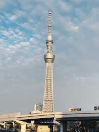 Sumida Park Riverside
