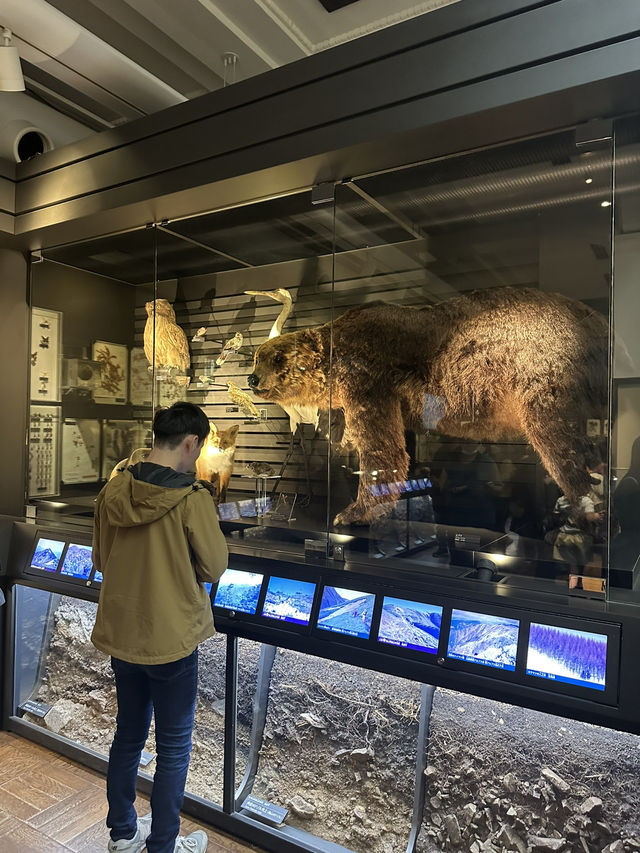 과학의 모든 것! 도쿄 국립과학박물관 🦖🌏✨
