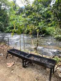 One-Day Itinerary: Nature & Adventure
