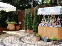 คาเฟ่ลับ Lecino Backyard Cafe 