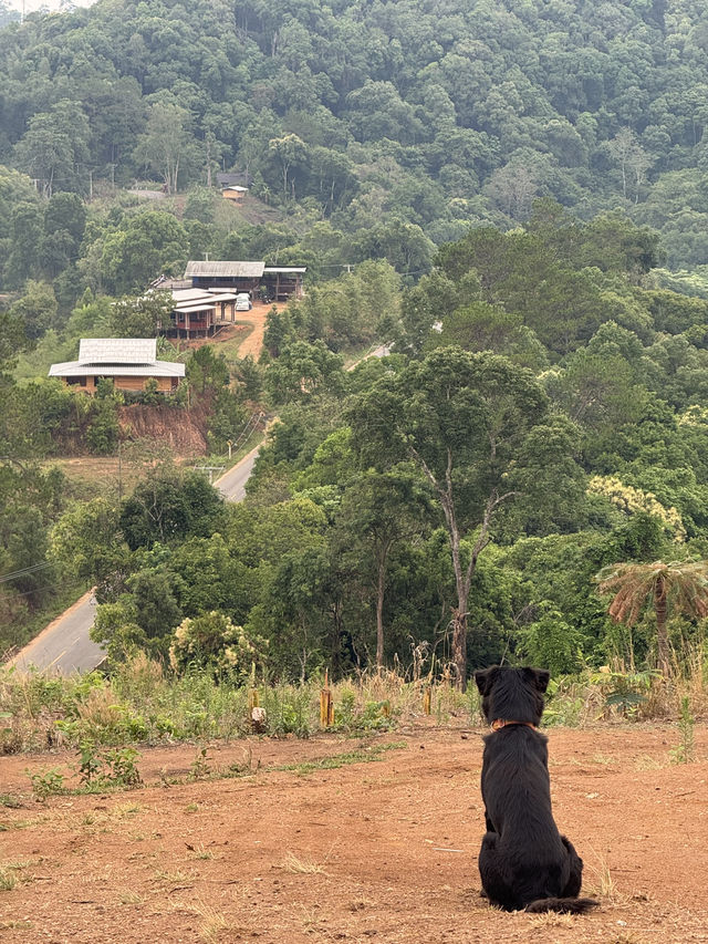 บ้านโฮมเตย์ จ.เชียงใหม่ 🏡⛰️🌧️🌳