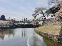 古城彥根一日遊