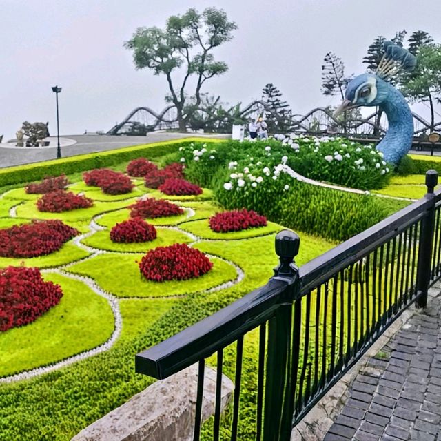 Spring Bloom in Bà Nà Hills, Vietnam: A Guide to Capturing Nature’s Splendor