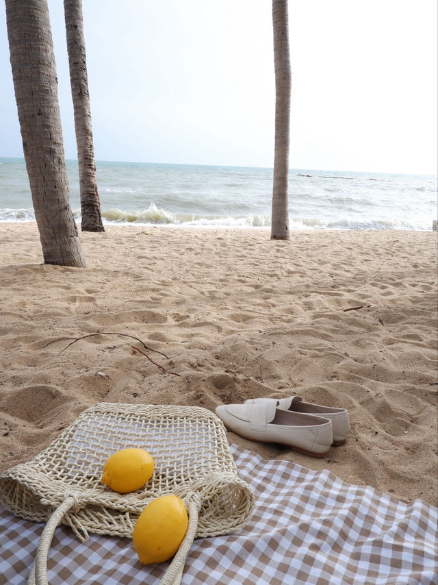 พานั่งปิคนิคริมชายหาดวอนนภา จ.ชลบุรี 🏖️