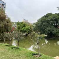 Shenzhen’s Hidden Gem: 人民公园 (People’s Park)