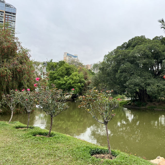 Shenzhen’s Hidden Gem: 人民公园 (People’s Park)