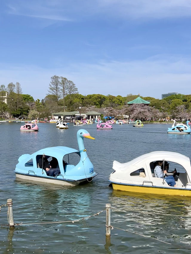 Weekend Wandering in Ueno – Culture, Parks & Panda Treats