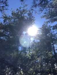 桃山｜武陵四秀中最秀麗的百岳之一 