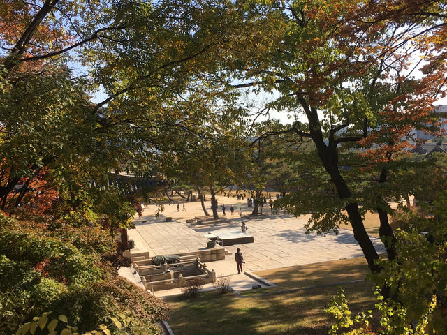【ソウル】絶景・景福宮レポ