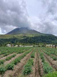 North Sumatera Trip