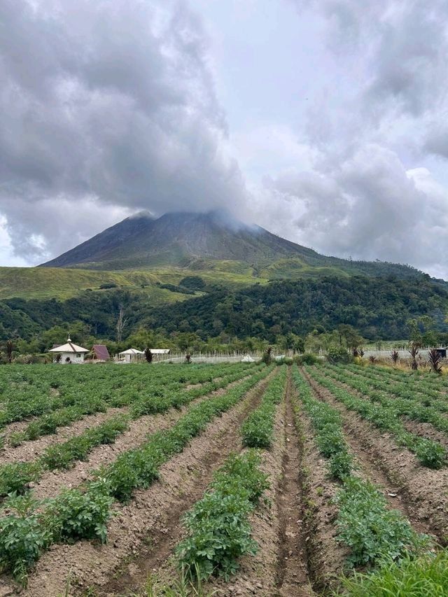 North Sumatera Trip