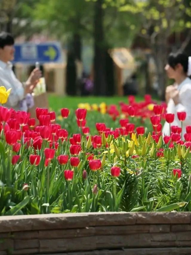 Gyeonggi-do: South Korea's Hidden Gem Beyond Seoul