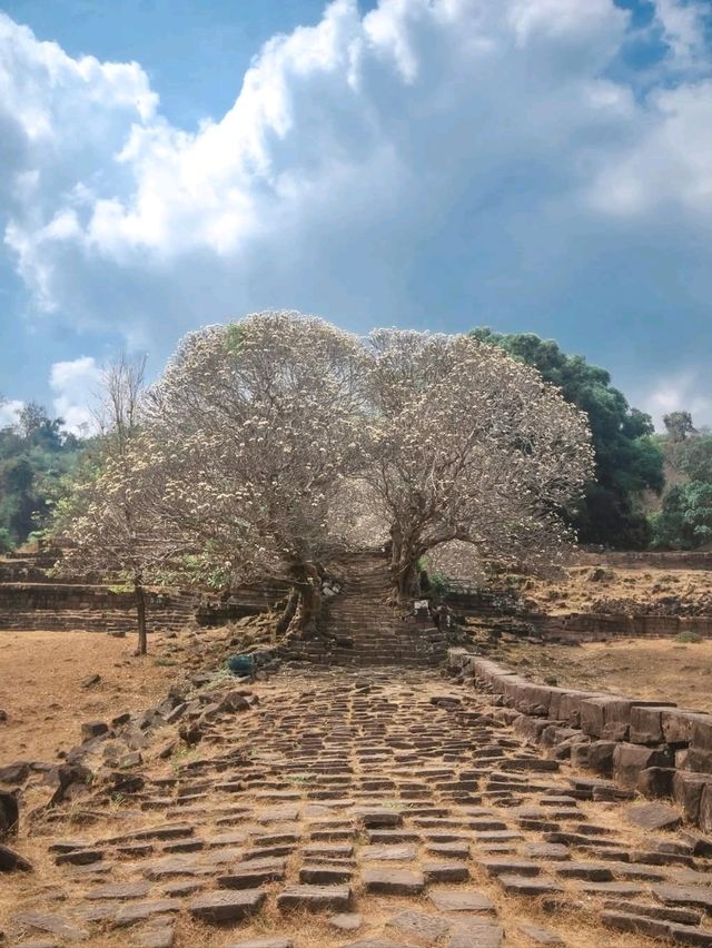 Ancient Vibes & Ruins
