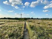 Title: Haneul Park: Seoul’s Heavenly Hilltop with a View