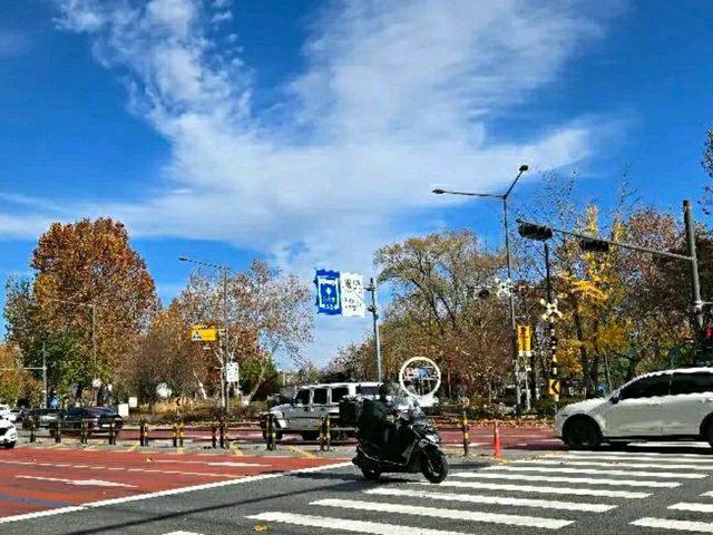 Title: Discover Gyeongchun Line Forest Park – Seoul’s Hidden Green Railway Path