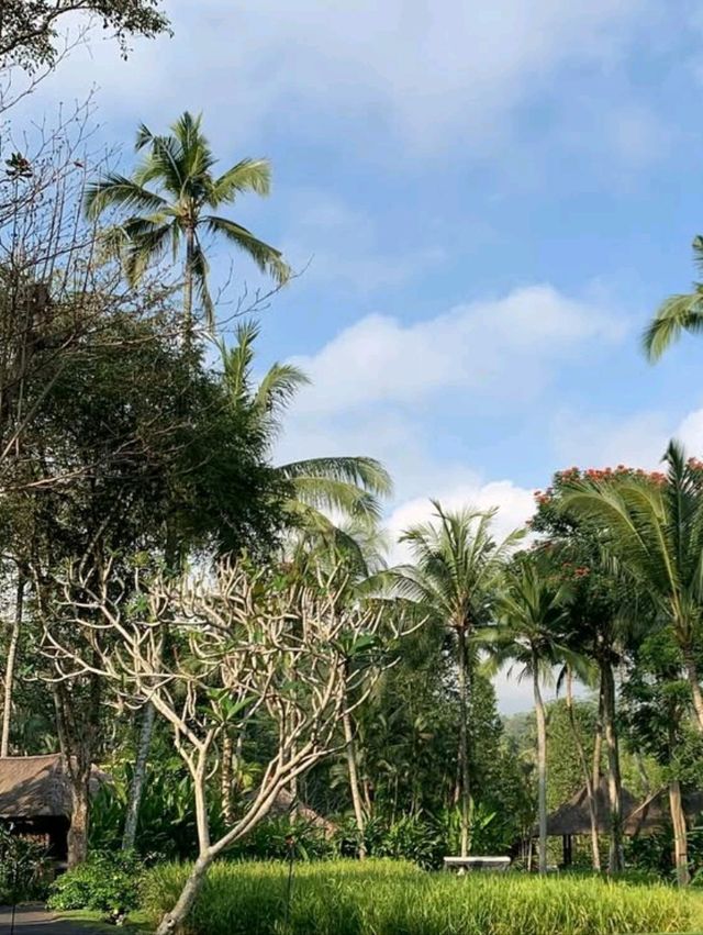 🌞 Pure Joy in the Jungle – Fun & Bliss at Four Seasons Ubud