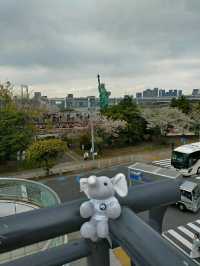 Kobe: Japan’s Port City of Elegance, Culture, and Flavors