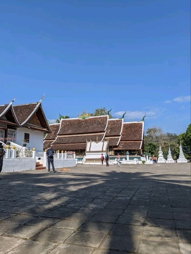 在富麗堂皇中探索生命之樹與寮式建築的教科書-香通寺
