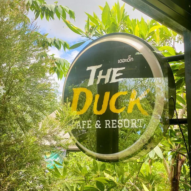The Duck Cafe & Resort : คาเฟ่และรีสอร์ท