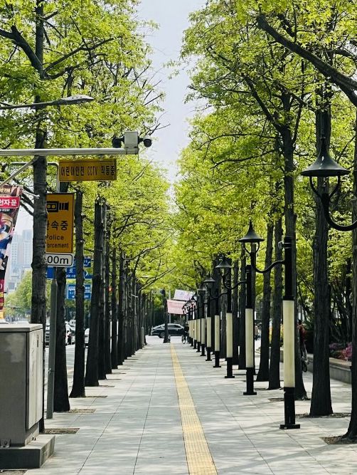 A Pleasant Stroll Along Yangjaecheon-gil