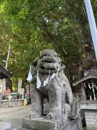 三浦半島の総鎮守「海南神社」—歴史と文化が息づく港町の守り神 