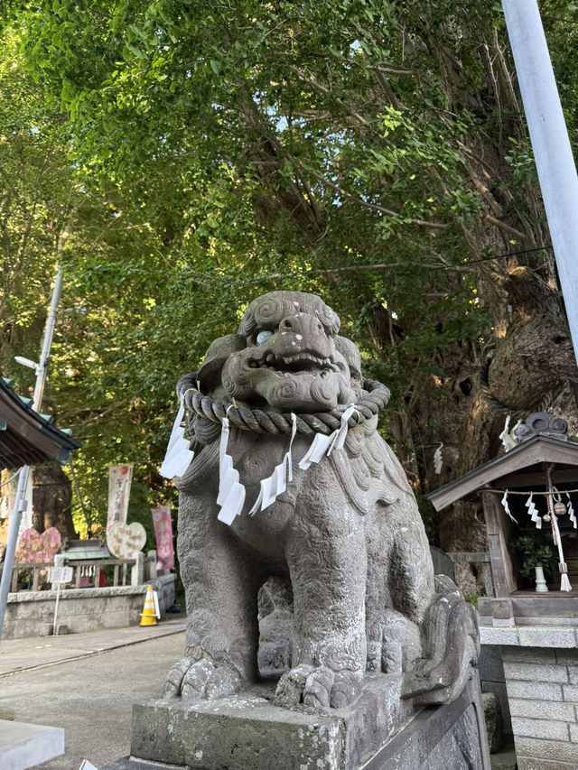 三浦半島の総鎮守「海南神社」—歴史と文化が息づく港町の守り神 