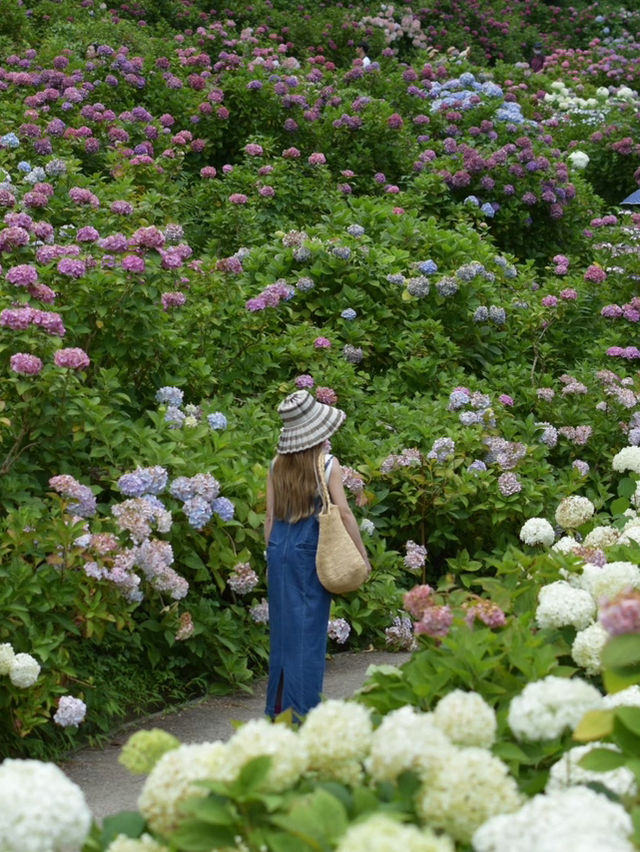 千葉のオススメ　お花スポット2選