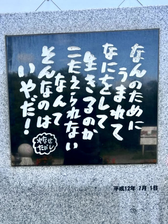 A Relaxing Drive Through Furano – Fields, Music & a Touch of Nostalgia